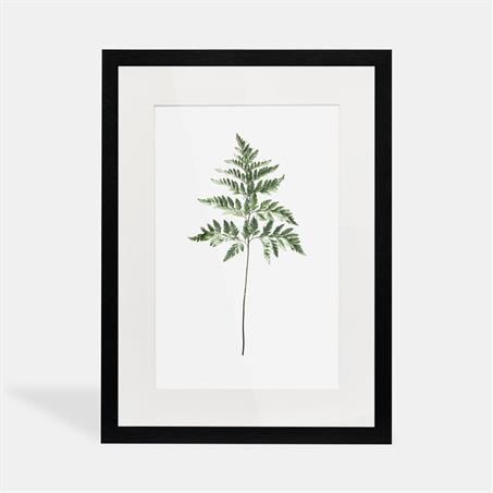 تابلو دکوراتیو بلمونت؛ شاخه گیاه سرخس